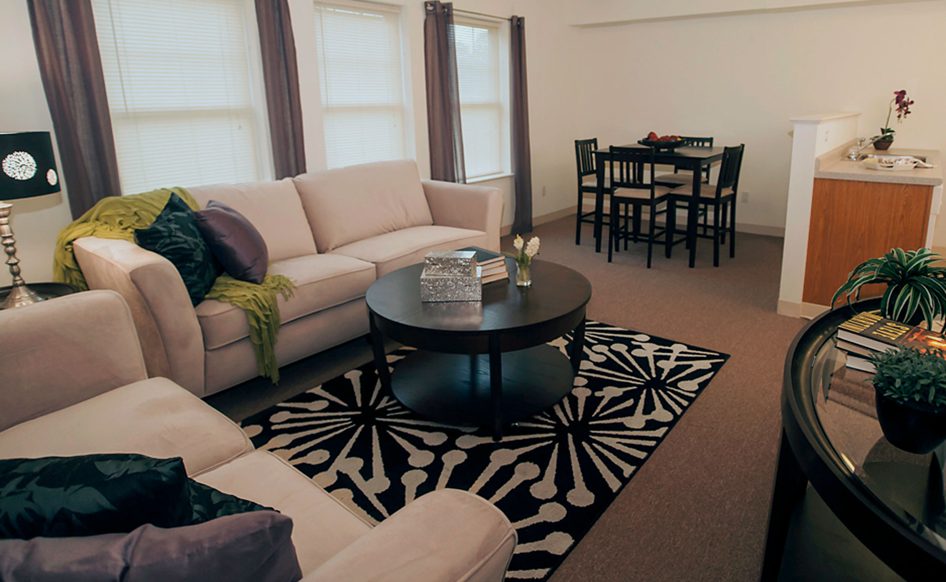 riversedge-apartments-standardmodel-livingroom